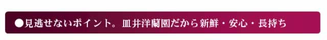 胡蝶蘭選びのポイント