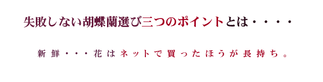 花はネットで買った方が長持ち