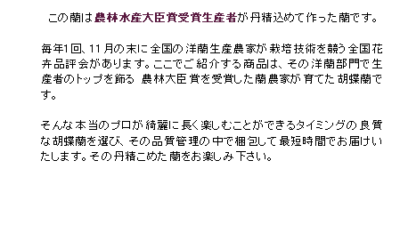 この胡蝶蘭は、農林大臣賞を受賞した生産者が作っています。