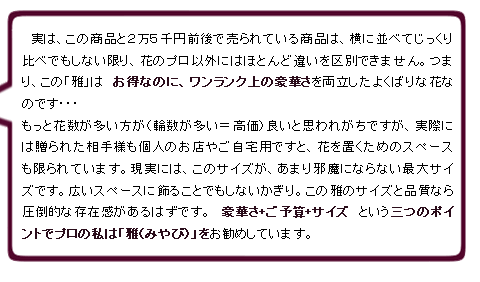 プロの私は胡蝶蘭　雅　をおすすめしています。