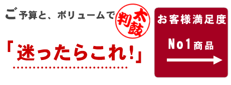 社長就任祝いならこれ