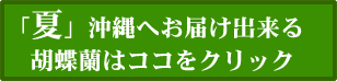 胡蝶蘭 夏 沖縄へ配達可能な花はこちら