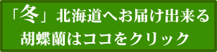 胡蝶蘭 冬 北海道へ配達可能な花はこちら