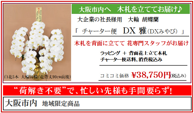 胡蝶蘭の大阪市内専門スタッフ配送便 DX 松 