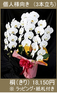 胡蝶蘭 値段一覧 花の規格品質サイズ別 胡蝶蘭の値段表 胡蝶蘭販売net