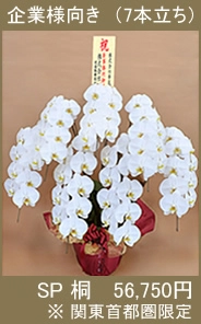 胡蝶蘭 東京近郊花専門配送便SP桐