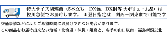 特大サイズは佐川急便でお届けします