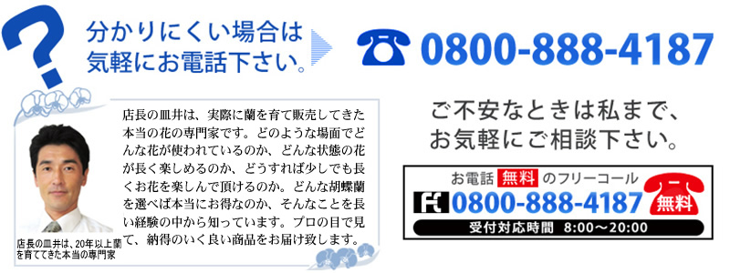 胡蝶蘭のご注文について分かりにくいときは、お客さま専用フリーコール 0800-888-4187