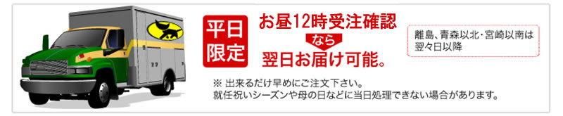 胡蝶蘭の翌日お届けが可能な注文締め切り時間