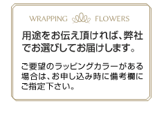 胡蝶蘭のラッピングは、お祝い用途に合わせてお選びいたします