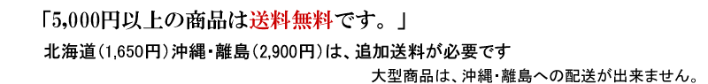 北海道、沖縄追加送料が必要です