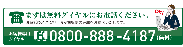まずはお電話ください。お客様専用フリーダイヤル　0800-888-4187