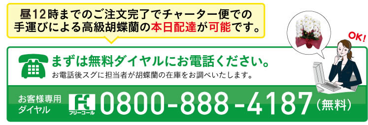 胡蝶蘭問い合わせ電話　0800-888-4187