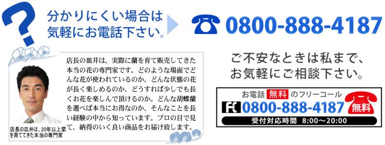 胡蝶蘭通販サライお客様専用フリーコール 0800-888-4187