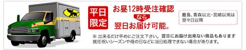 平日11時受付で翌日お届け