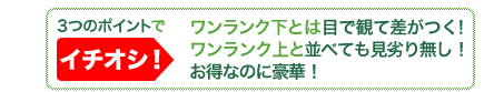 ワンランク上の胡蝶蘭です