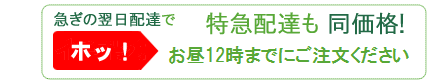 翌日配達の胡蝶蘭も同価格